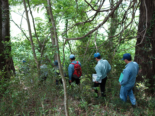 勝田工場の植生調査のようす