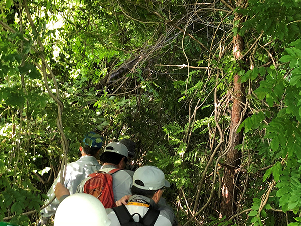 佐和工場の植生調査のようす